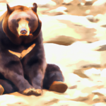 bears markets